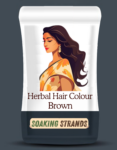 Herbal Hair Colour (Brown) 100gms